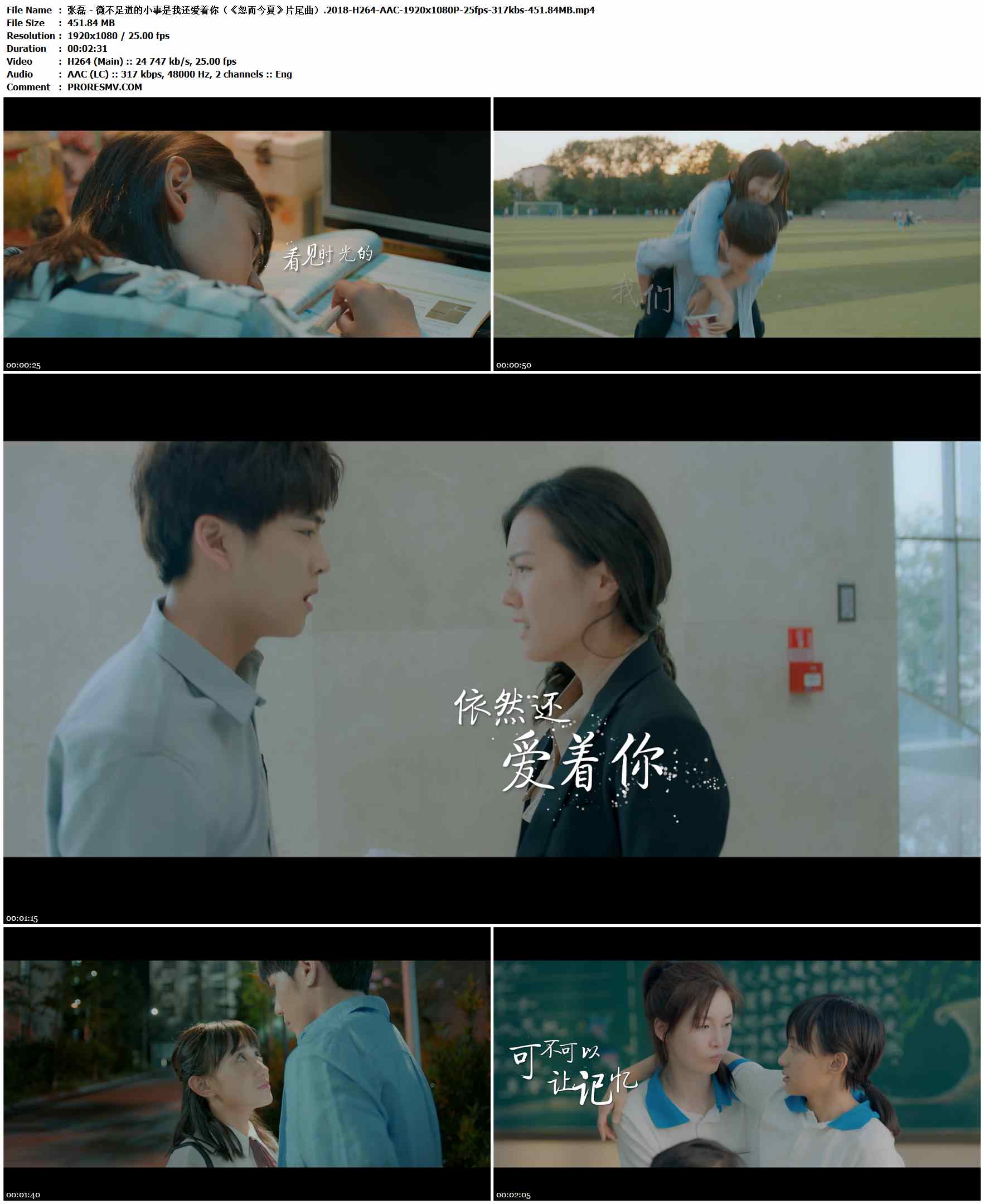 张磊 - 微不足道的小事是我还爱着你（《忽而今夏》片尾曲）.2018-H264-AAC-1920x1080P-25fps-317kbs-451.84MB官方MV_高清MV